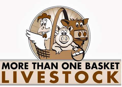 More Than One Basket Livestock